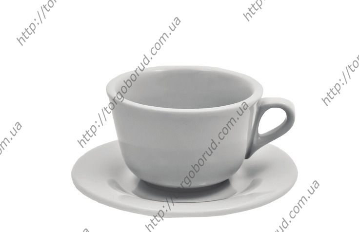 Чашка фарфоровая с блюдцем "Ionia" F2769+F2770 Alt Porcelain - 1