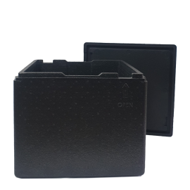 Термоконтейнер EPP-4242H BRILLIS - 2