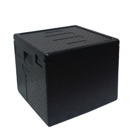 Термоконтейнер EPP-4242H BRILLIS