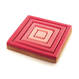 TARTE RING SQUARE 200X200 H20 MM Набор форм из пластика - 2