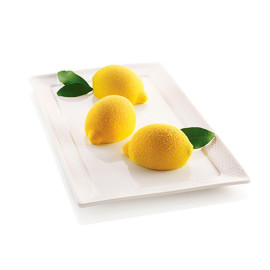 DELIZIA AL LIMONE Форма из резины