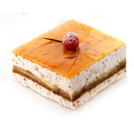 TOR100x100 H40/1 Форма из резины - 2