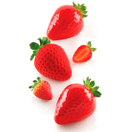 FRAGOLA 120 Форма из резины