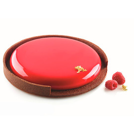 TARTE RING D190 H20 MM Форма из пластика - 2