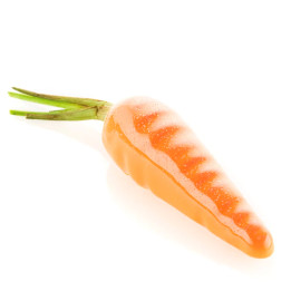 CAROTA 20 Форма из резины - 3